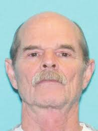 30 Songs for Summer That Strike a Canine Chord