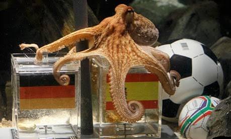 Paul the 'psychic' octopus dies | Paul the 'psychic' octopus | The Guardian