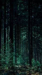 Broadway caliber forests & woods. Download Wallpaper 938x1668 Trees Forest Trunks Green Iphone 8 7 6s 6 For Parallax Hd Background
