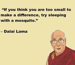 Maybe you would like to learn more about one of these? Funny Quotes By Celebrities Piccle