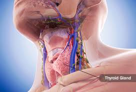 Fever, headache, body ache in middle age men or it depends on the seasonal thing also. Body Aches 13 Possible Causes