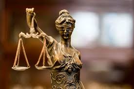 Image result for Justicia incana