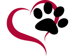 Our mission (and passion) is to help get homeless pets out of the shelters and into loving homes. Safe Haven Animal Rescue Inc Petrescue