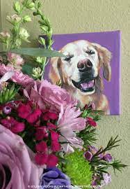 This shouldn't be pushed aside as nonsense although the loss of a pet affects people differently, it can sometimes be a very difficult experience. Golden Thanks Pet Loss Cute Dogs Pets
