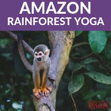 The over reproduction of the lost species food source no cooperation with that species and another that could have relied on it for food. 5 Amazon Rainforest Animals Yoga Poses For Kids Kids Yoga Stories