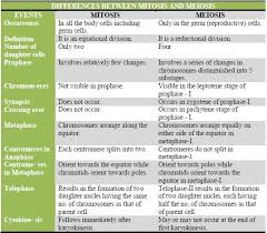 Meiosis And Mitosis Similarities And Differences Google