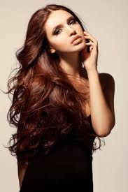Light brown adalah warna rambut yang bakal terlihat natural. Chestnut Brown Chestnut Hair Color Novocom Top