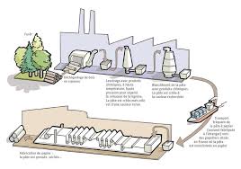 Ce tutoriel permet de découvrir les étapes de la réalisation de feuilles de papier à partir de plantes fibreuses, de lessive de soude et d'eau. Fabrication Du Papier La Production De Pate A Papier Dossier