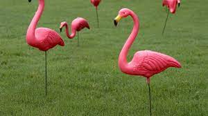 See more ideas about pink flamingos, flamingo, pet birds. One Major Design Lesson From The Creator Of Plastic Pink Flamingos Inc Com
