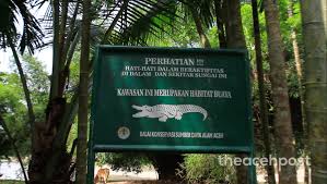 Check spelling or type a new query. Pak Jokowi Siswa Sd Siron Seberangi Sungai Habitat Buaya Demi Bersekolah The Aceh Post