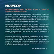 Marcelo Guillermo Puebla Medina