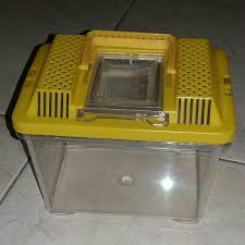 Aquarium plastik ini sudah banyak beredar dan harga aquarium mini terbuat dari plastik ini sangat murah meriah. Kotak Aquarium Plastik Small Kecil Perlengkapan Hewan Aksesoris Hewan Di Carousell