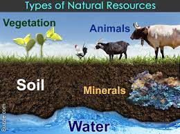 From peaceful forests to crashing. Natural Resources Conservation