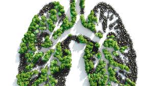 Quick Dose: How Climate Change Affects Your Health | Northwestern Medicine