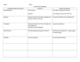This process is characterized by stromal cell proliferation and differentiation into decidual cells with polyploidy. Animal And Plant Cell In 2021 Cells Lesson Plant And Animal Cells Plant Cell Lesson