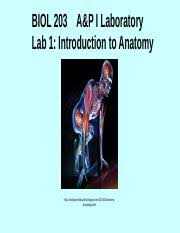 Pain under the left rib cage can arise from any organ in the left upper abdomen or chest, spine, or the left ribs themselves. Zavala Lab 11 Rat Dissection Biol 101 Online Activity Sheet U2013 Lab 11 Name Wilmer Zavala You Must Complete The Following Before Completing Course Hero