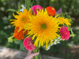 Who are the owners of flourish flower farm? Incubator Program Farmers Offer 2021 Csas Southern Appalachian Highlands Conservancy