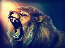 Best 43 Lion Facebook Backgrounds On Hipwallpaper Facebook Wallpaper Attractive Wallpapers Facebook Profile For Girls And Facebook Backgrounds You can use wallpapers downloaded from. best 43 lion facebook backgrounds on