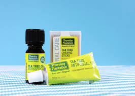 Tea Tree Oil Benefits And Uses