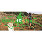 White Pine 50 Backcountry Run