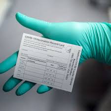 .seized online teljes film seized online film magyarul seized indavideo és seized videa. Dark Web Latest News Photos Videos Wired