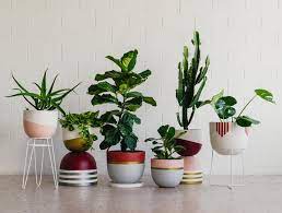 Maybe you would like to learn more about one of these? Jangan Salah 9 Aneka Pot Ini Siap Menghias Ruangan Dengan Asri Lho