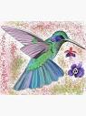 Colorful Colibri with flowers (for all bird lovers) - cute " Art ...