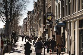 Es gibt neben weed auch jede menge snacks, tees und smoothies. Amsterdam Reisefuhrer Top Sehenswurdigkeiten Und Tipps Fur Deine Stadtereise Miss Classy
