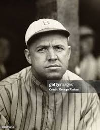 90 Brooklyn Robins Stock Photos, High-Res Pictures, and Images