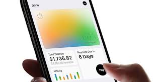 Subtract the interest charges from your total payment to figure out how much principal you pay off in. Apple Card S Fine Print 7 Things You Should Know About Apple S New Iphone Credit Card Cnet