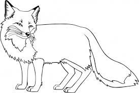 We did not find results for: Ausmalbilder Fuchs Kostenlos Drucken Fur Madchen Und Jungen