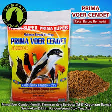 Makanan burung prenjak di alam liar antara lain adalah ulat, kroto, dan berbagai serangga kecil. Download Gambar Makanan Voer Gambar Makanan