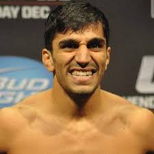 Ramsey Nijem vs. Danny Downes, UFC 137