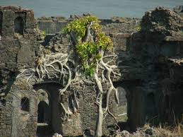 Murud Janjira fort in Raigad | Atlas ...