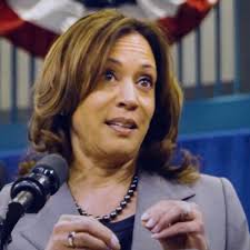 Reports: Potential running mates get vetting materials from Harris campaign 