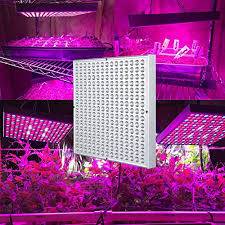Maybe you would like to learn more about one of these? Led Grow Light Shengsite 75w Plant Grow Lights For Indoor House Plants Full Spectrum Growing Lamp For Hydroponics Greenhouses Grow Tent Plant Factory Flower Vegetable Pricepulse