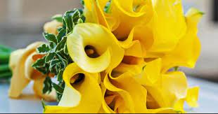 Flower delivery sherman oaks, best rated online flower store, delivers fresh flowers throughout the sherman oaks, ca area. Flower Delivery Sherman Oaks Site Officiel