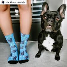 Maybe you would like to learn more about one of these? Custom Dog Socks Reviews Dog Socks Puppy Sketch Frenchie Bulldog