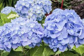 Grab your towel and suntan lotion and head to glendon beach. Summer On Cape Cod 12 Of Its Best Kept Secrets Boston Magazine