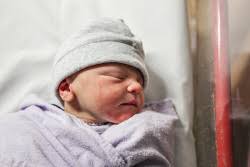 3140g stock photos, images, pictures