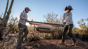 The saguaro cactus is the slowest growing plant in the world. Inside The Fight Against The Growing Cactus Black Market Pacific Standard