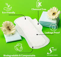 Bamboo Fiber Biodegradable Regular Sanitary Pads - 12 Pads