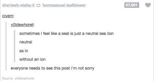 Pin On Funny Stupid Stuff