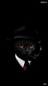 Wallpaper langsung interaktif dengan kucing yang melihat jari anda dan merespon sentuhan. 19 Ide Yang Saya Simpan Di 2021 Gambar Wallpaper Alam Yang Indah Seniman Jalanan