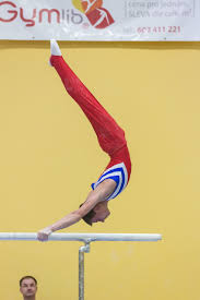 File:OHC Liberec 2019-11-28 Daniel Bago (Norman Seibert)