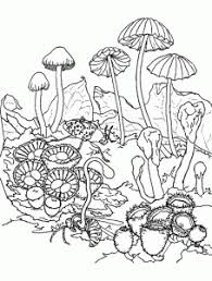 You could just do the one for your sign or print them all out. Mushrooms Free Printable Coloring Pages For Kids