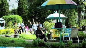 Maybe you would like to learn more about one of these? Wisata Agro Kebun Teh Wonosari Malang Lawang Jawa Timur Youtube