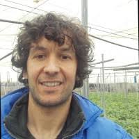 Roberto Huertas Vílchez