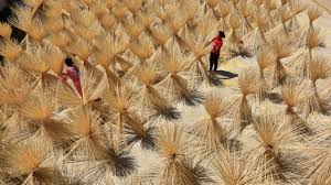 10 Countries With The Highest Gdp In 2020 Us Is No 1 Find Out Where India Ranks Cnbctv18 Com
