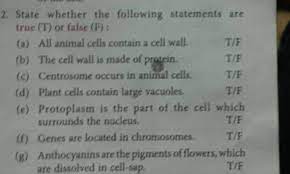 Eukaryote cells are either classified as animal cells or plant cells that contain a cell wall. Read The Following Statements And Select The Correct Option A Thymosins Plays A Major Role In Differentiation Of T Lymphocyte Which Provides Cell Mediated Immunity B Thymosins Promote The Production Of Antibodies To